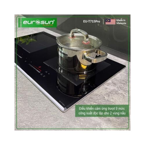 Điều khiển Bếp từ Eurosun EU-T715Pro